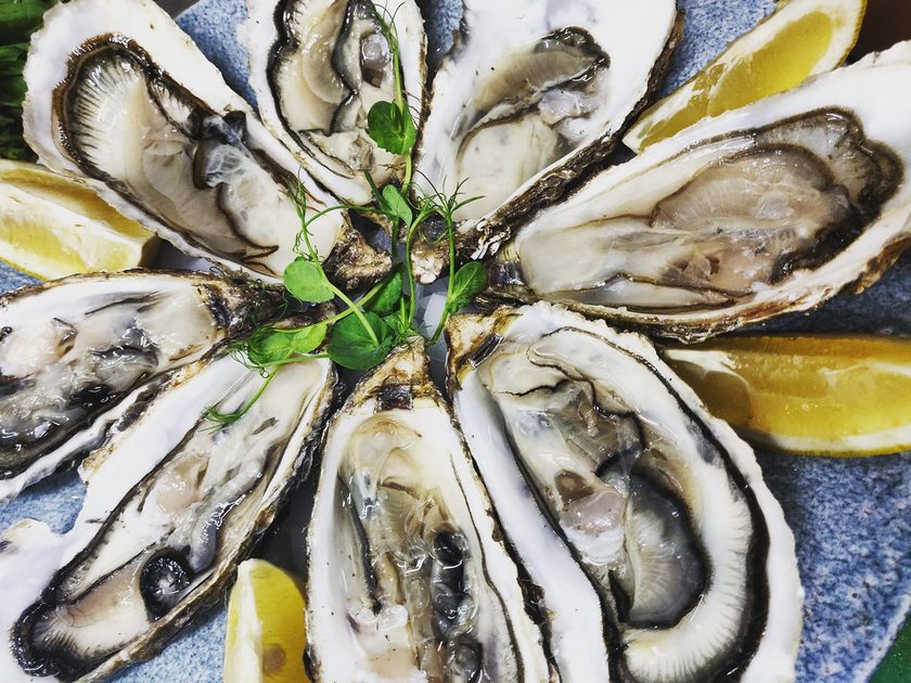 Eight oysters on the half shell with lemon wedges on a blue-grey plate