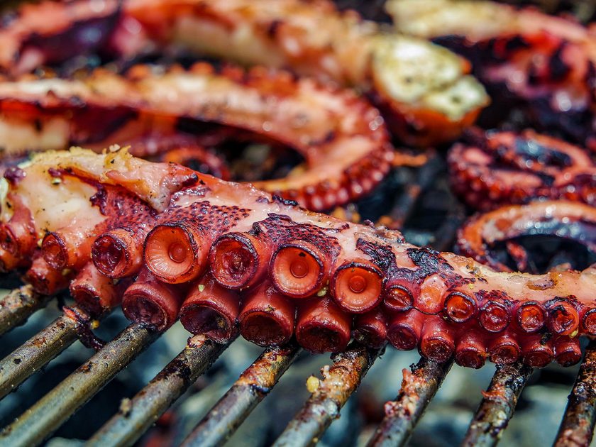 Close-up of octopus tentacles charring on a metal grill grate